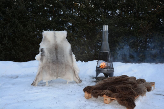 Rentierfell Golden Sunshine XXXL